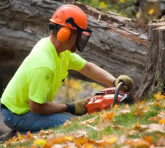 tree services Gulf Park Estates